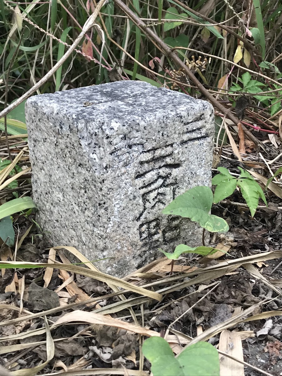 鯉魚山泥火山 屏東新園鄉 地質景觀 石碑