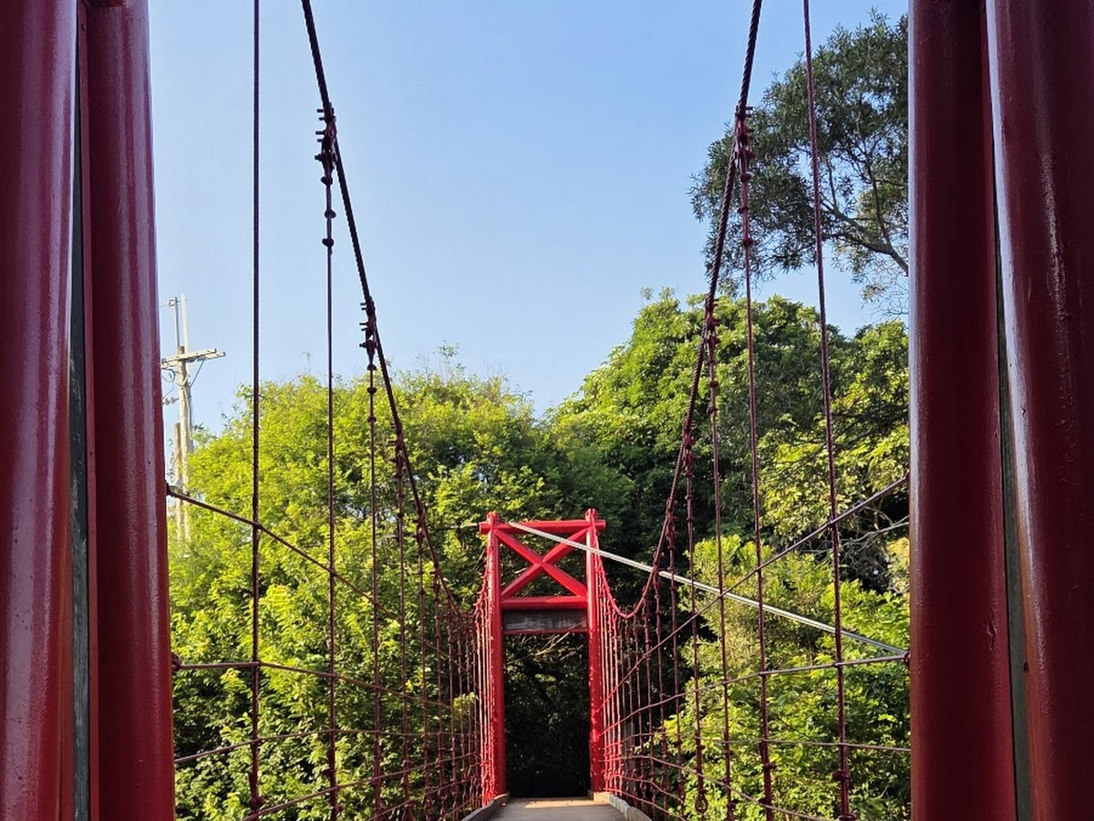楓林吊橋橋面視角紅色橋柱兩側延伸綠樹藍天