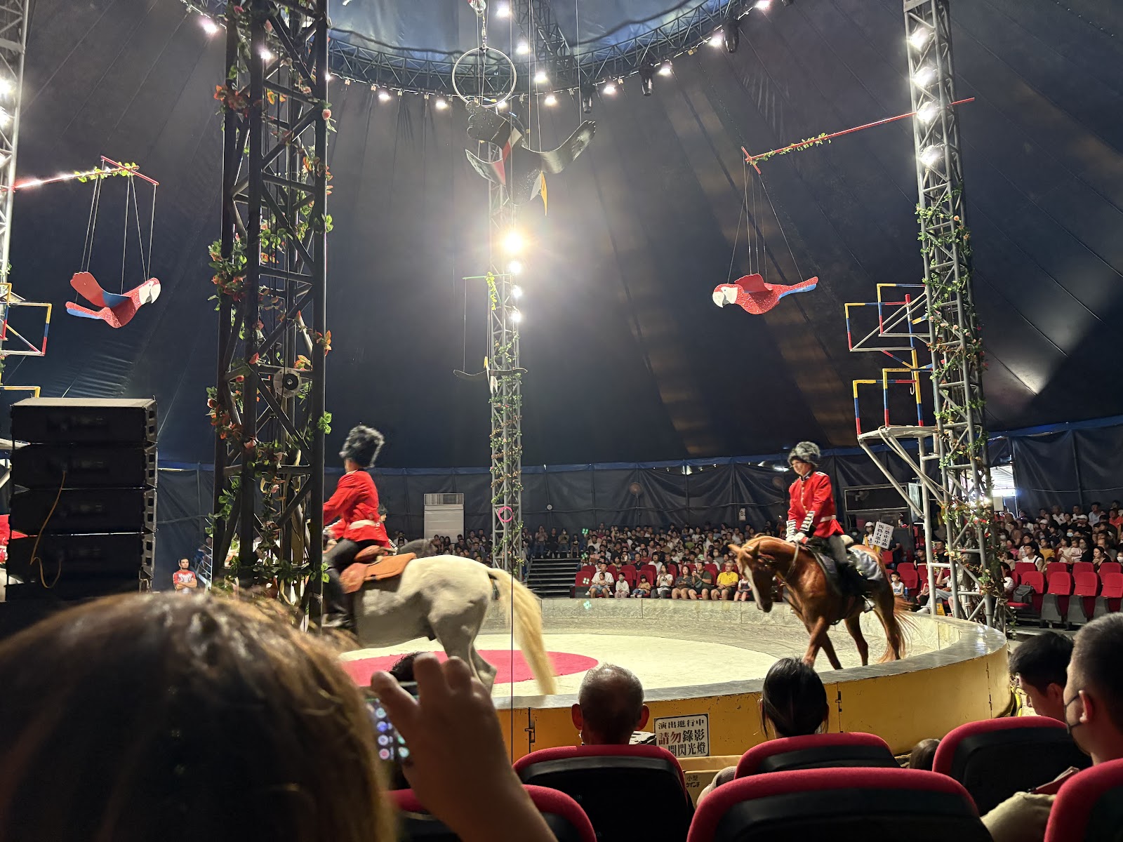 后里馬場大型馬戲帳篷內部，燈光璀璨，觀眾席環形排列整齊