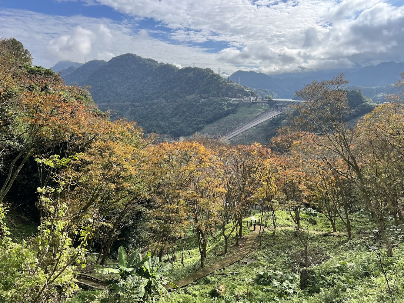 槭林步道可遠望水庫與山巒景色