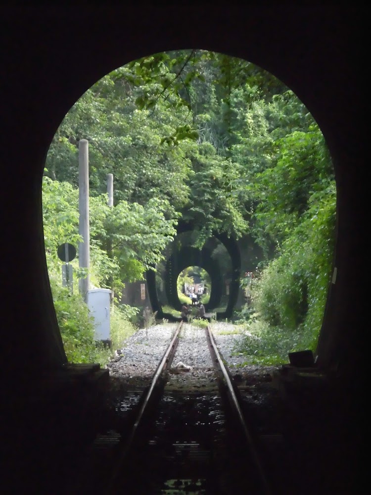 舊山線隧道群鐵道穿過多個隧道的景致