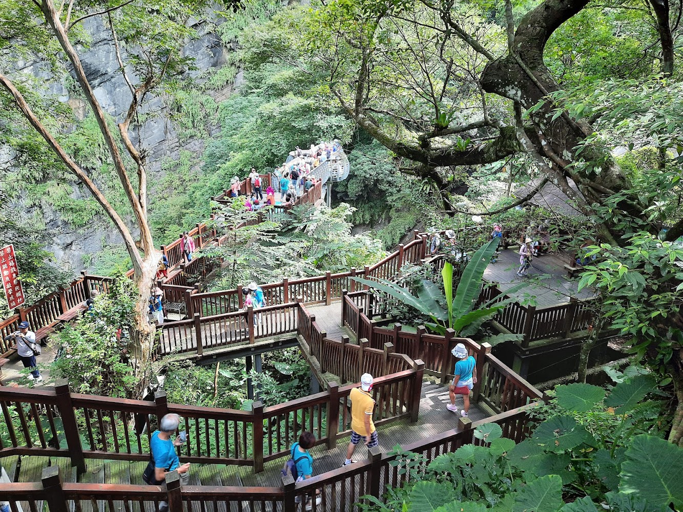青蛙石天空步道森林木棧道