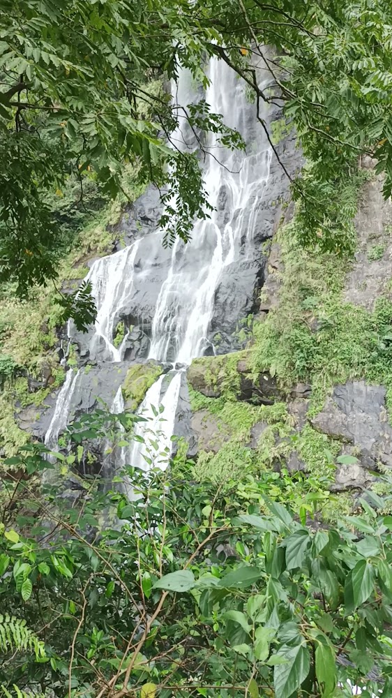 烏來瀑布壯觀水勢與綠林景觀