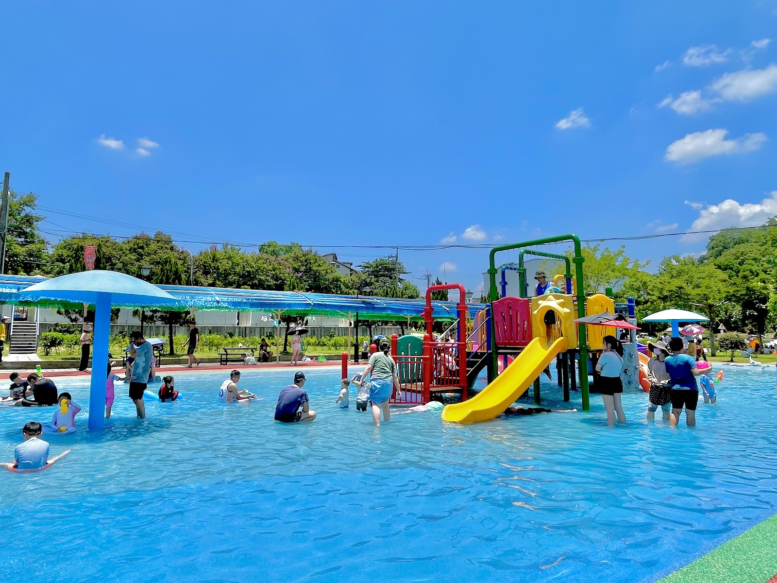 竹崎公園花仙子步道茂密植被，森林系健行推薦