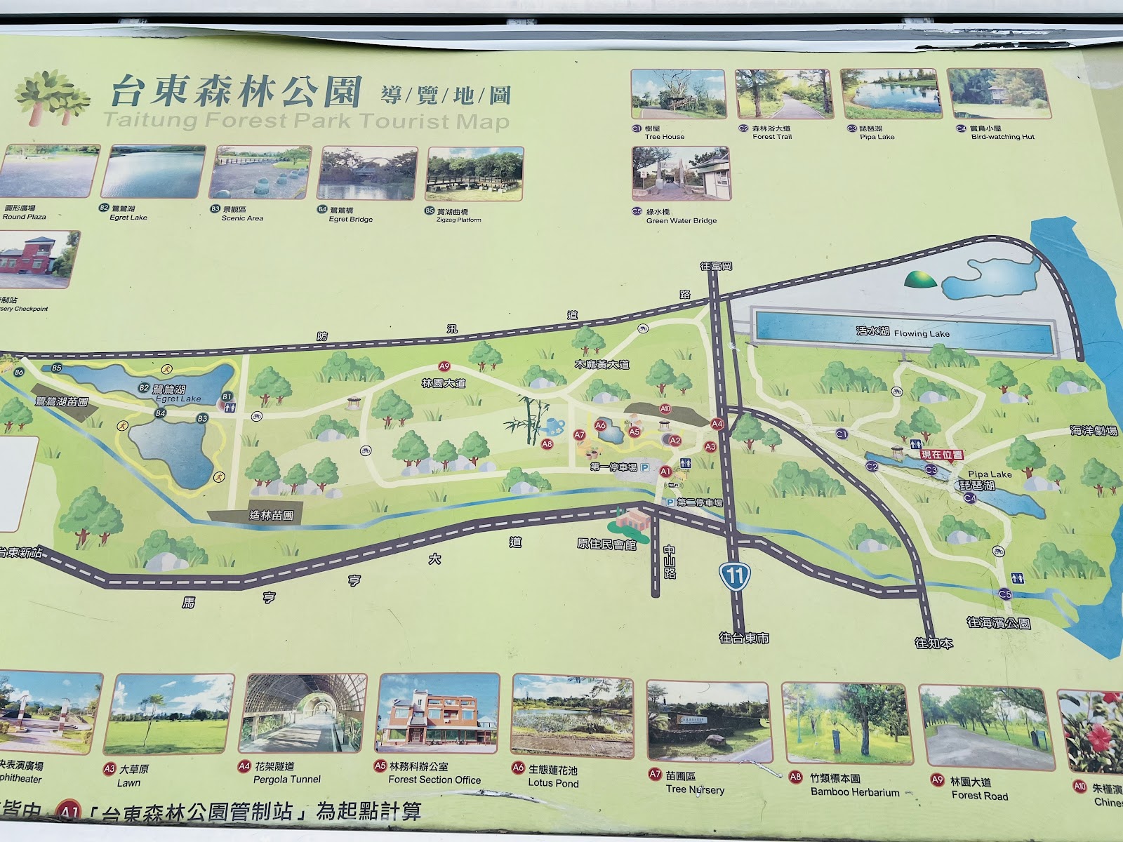 台東森林公園導覽地圖琵琶湖路線