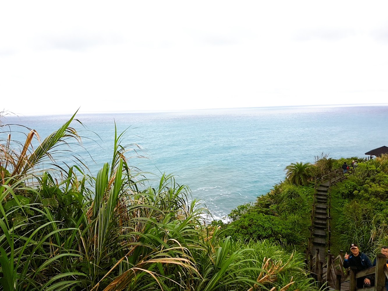 綠色植物與木棧步道海景