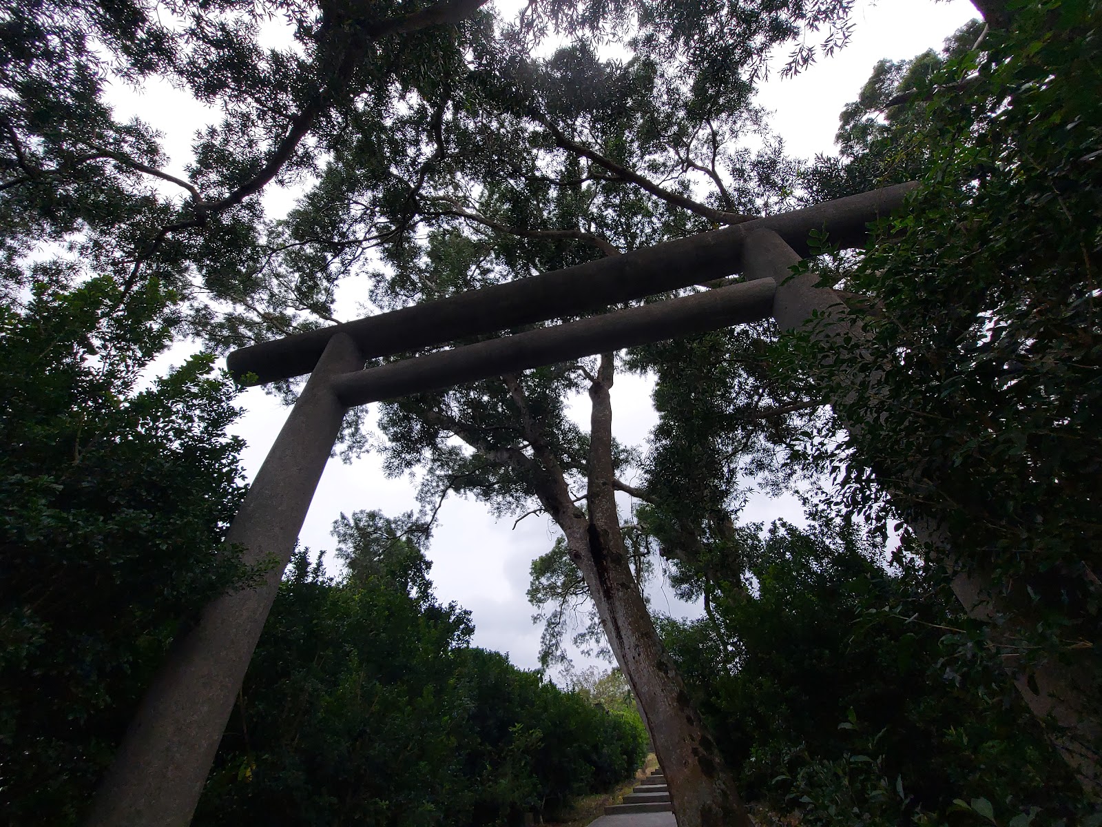 玉里神社遺址鳥居仰角拍攝，混凝土鳥居，花蓮日式遺跡
