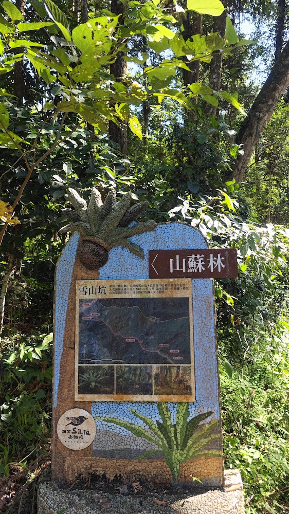山蘇林解說牌與步道圖