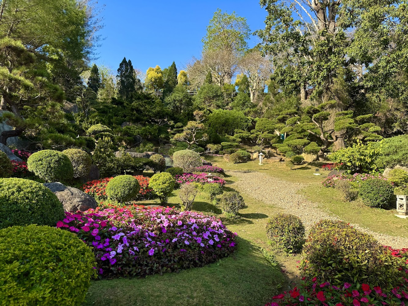 品園日式花園整齊修剪植栽與小徑