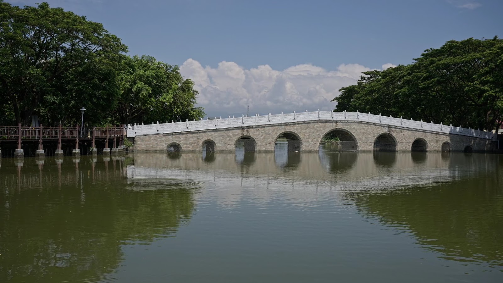 新營天鵝湖公園靜謐湖景