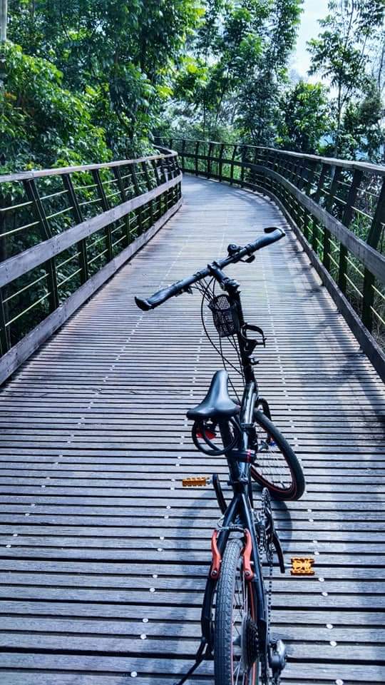 自行車停在木棧道旁