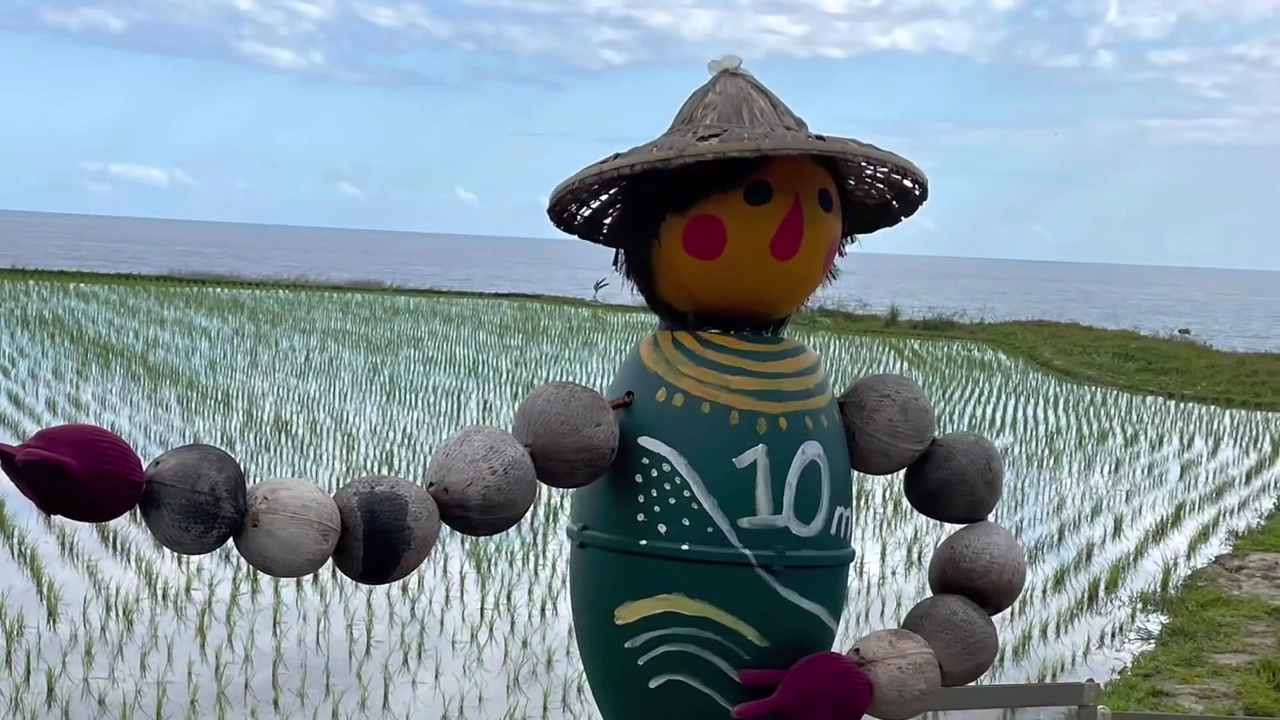 新社梯田稻草人與海景