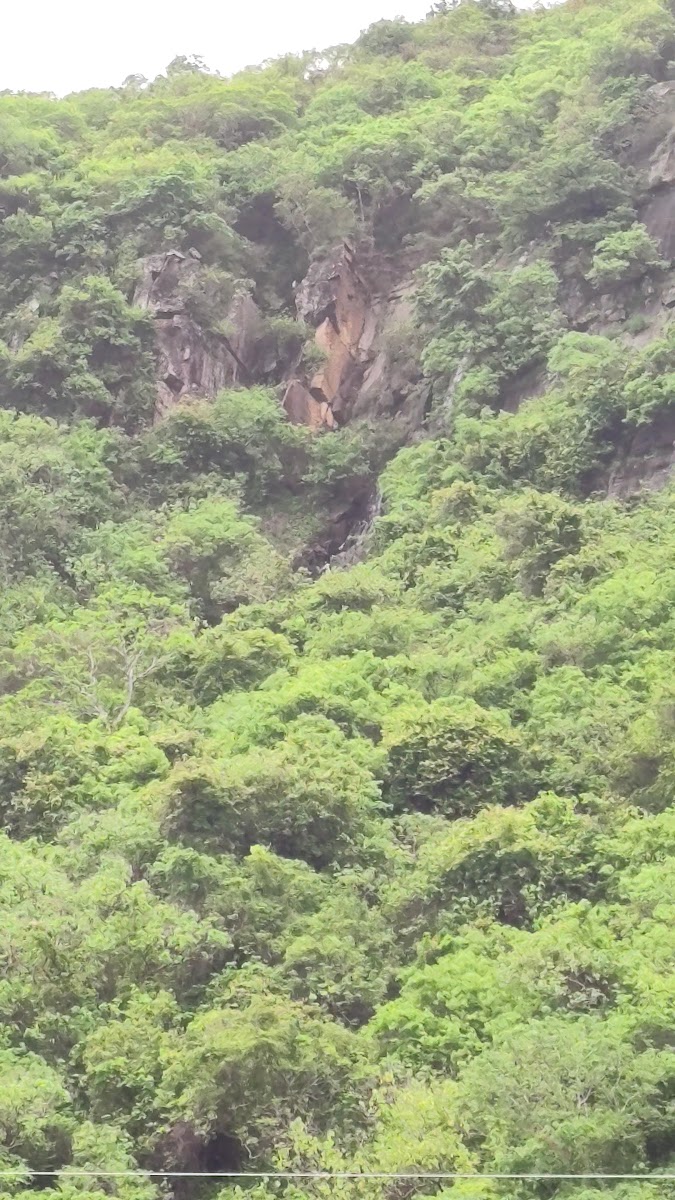 獅頭山岩壁山坡，翠綠植被茂密，屏東南迴自然景觀