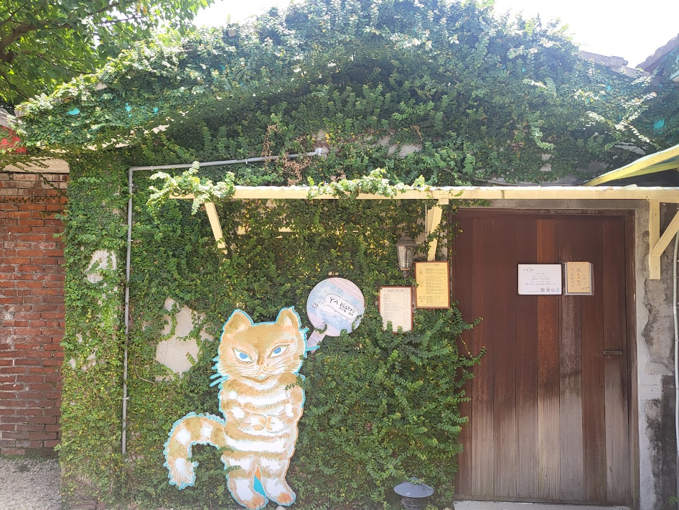 綠藤覆蓋牆面與可愛貓咪立牌的馬祖新村角落