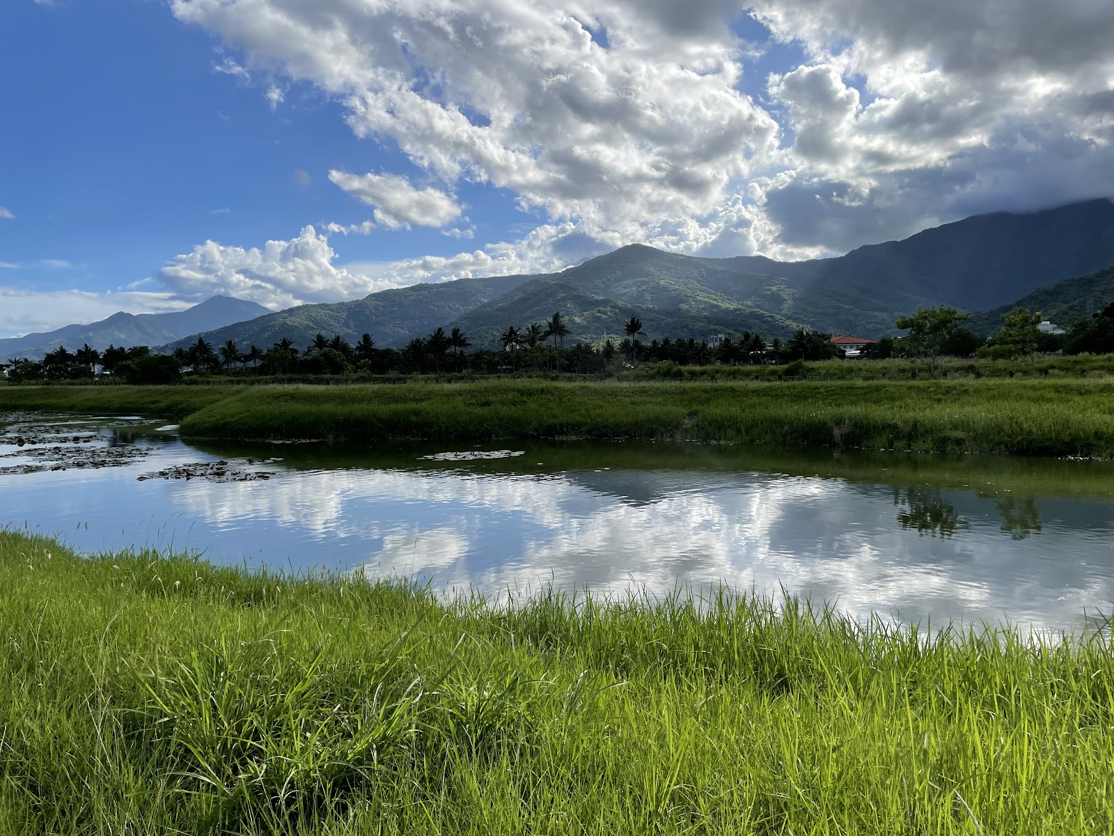 玉水圳人工濕地倒影，縱谷山巒藍天白雲，花蓮玉里生態景點