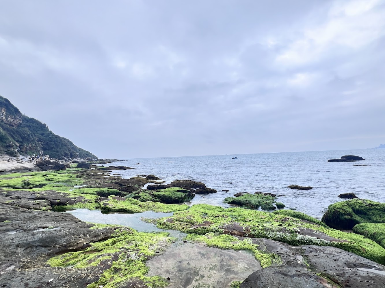 神秘海岸海蝕岩岸與翠綠岩石景觀