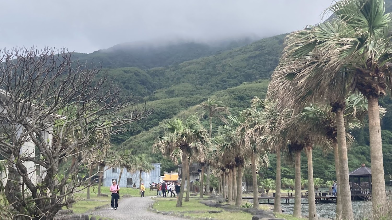 綠色山丘棕櫚樹小徑與遊客