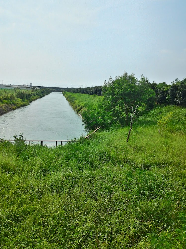 嘉南大圳導水路河道與綠地景觀
