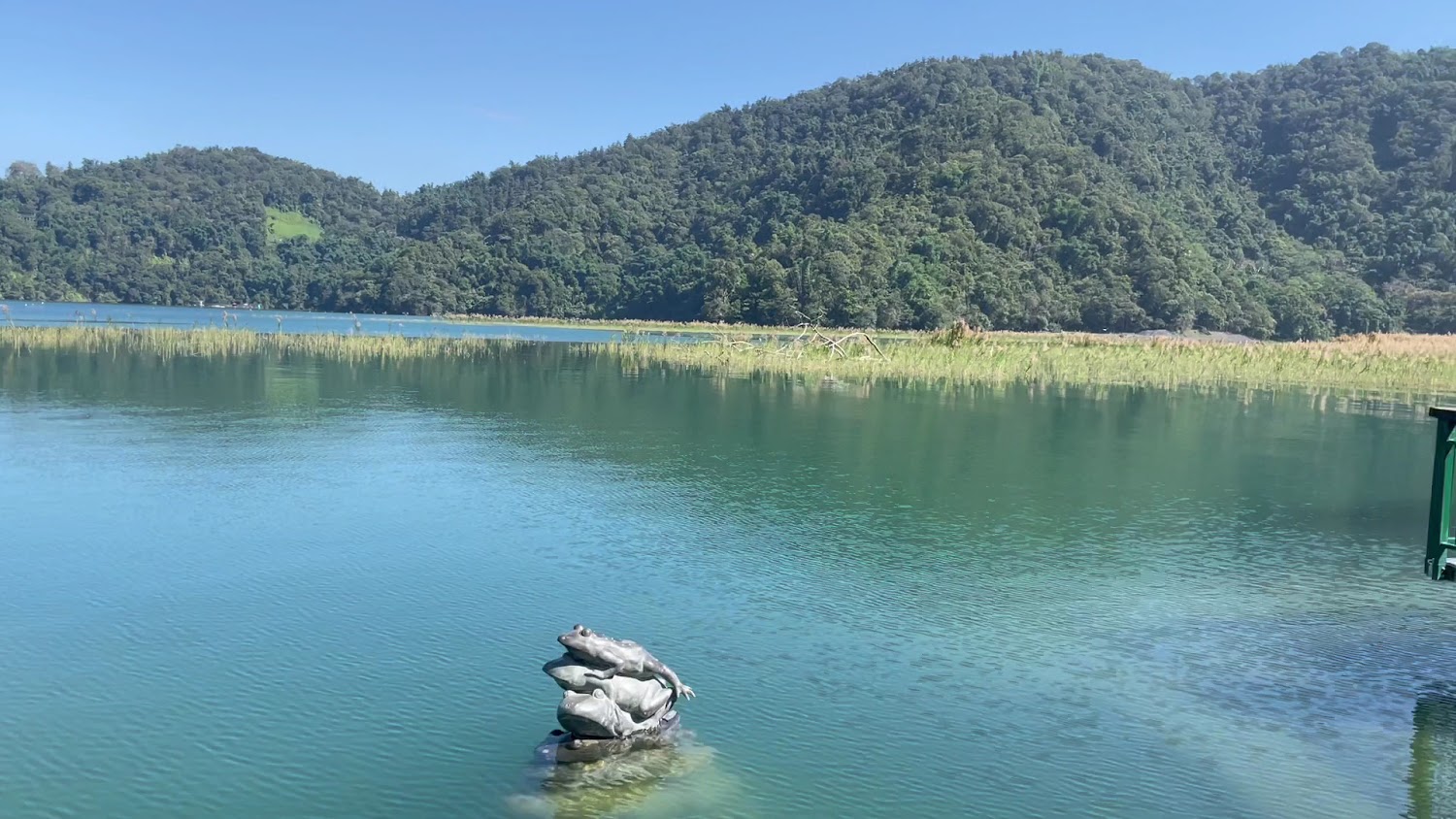 湖中青蛙疊像雕塑與森林山丘