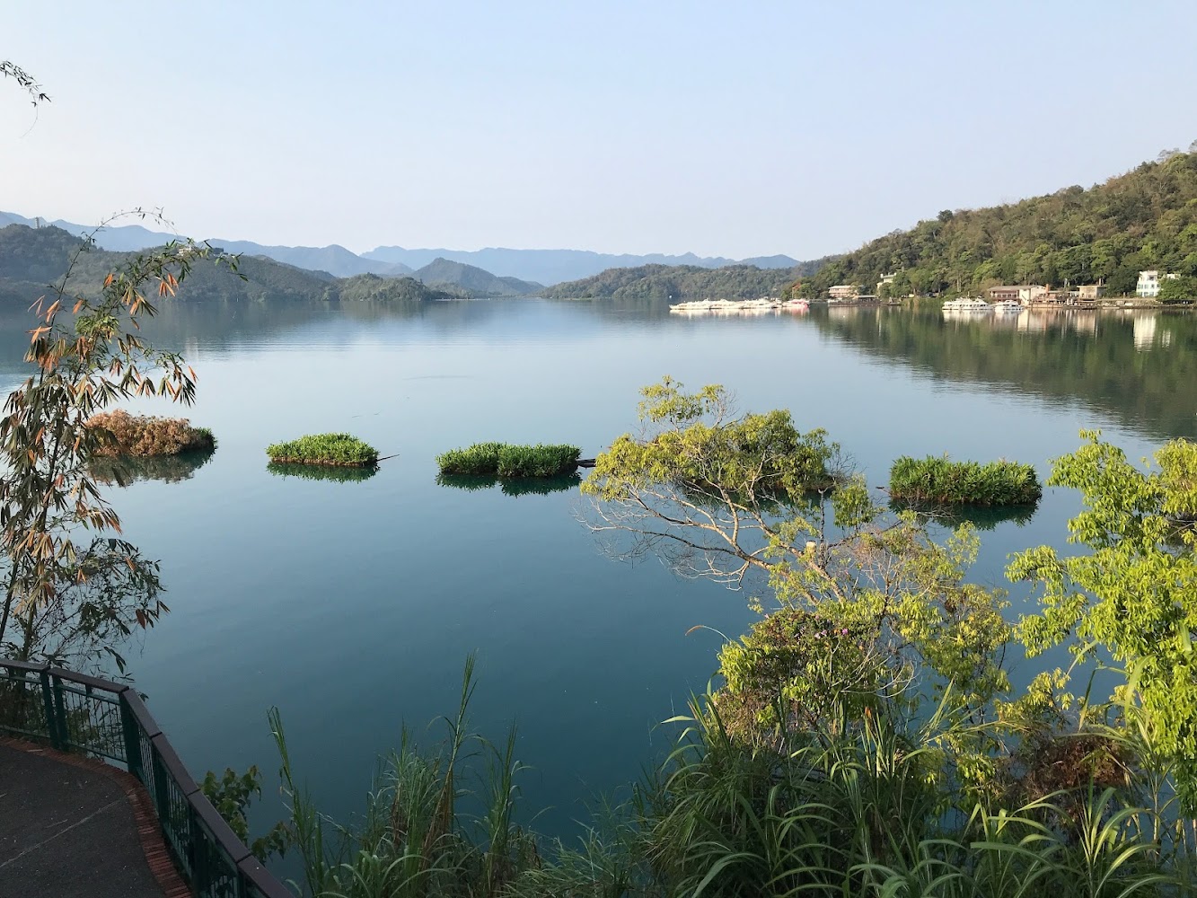 寧靜湖面與漂浮綠色水草小島周圍樹林山景