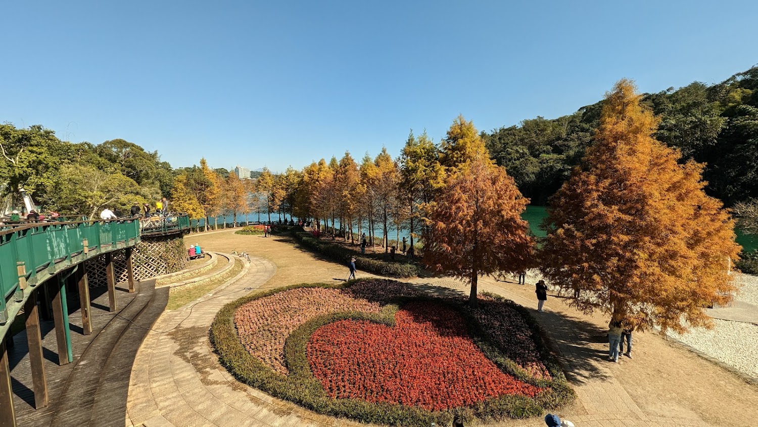心型花圃與秋天樹木景觀