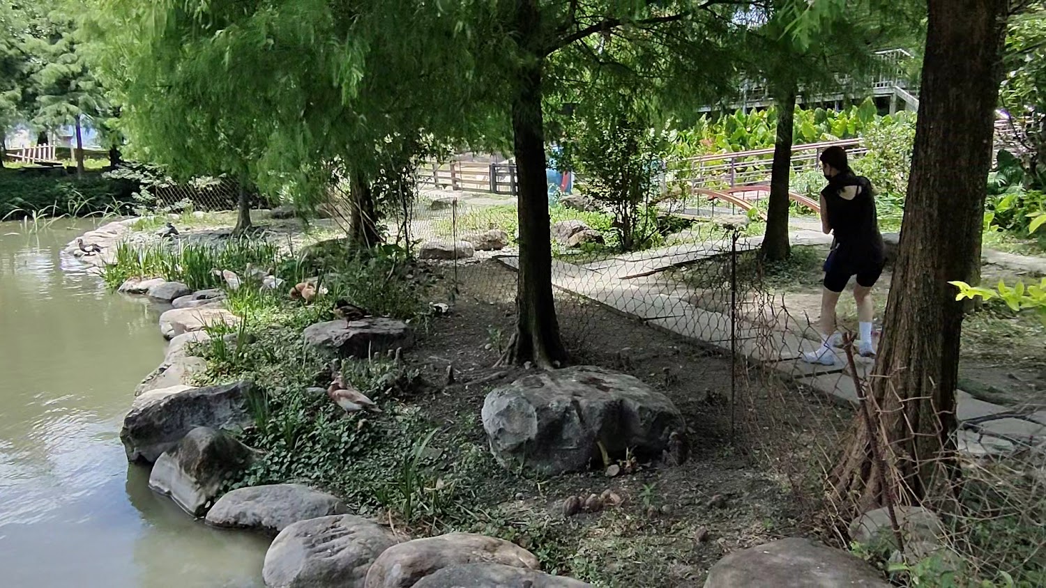 牧場內池塘步道與自然綠意