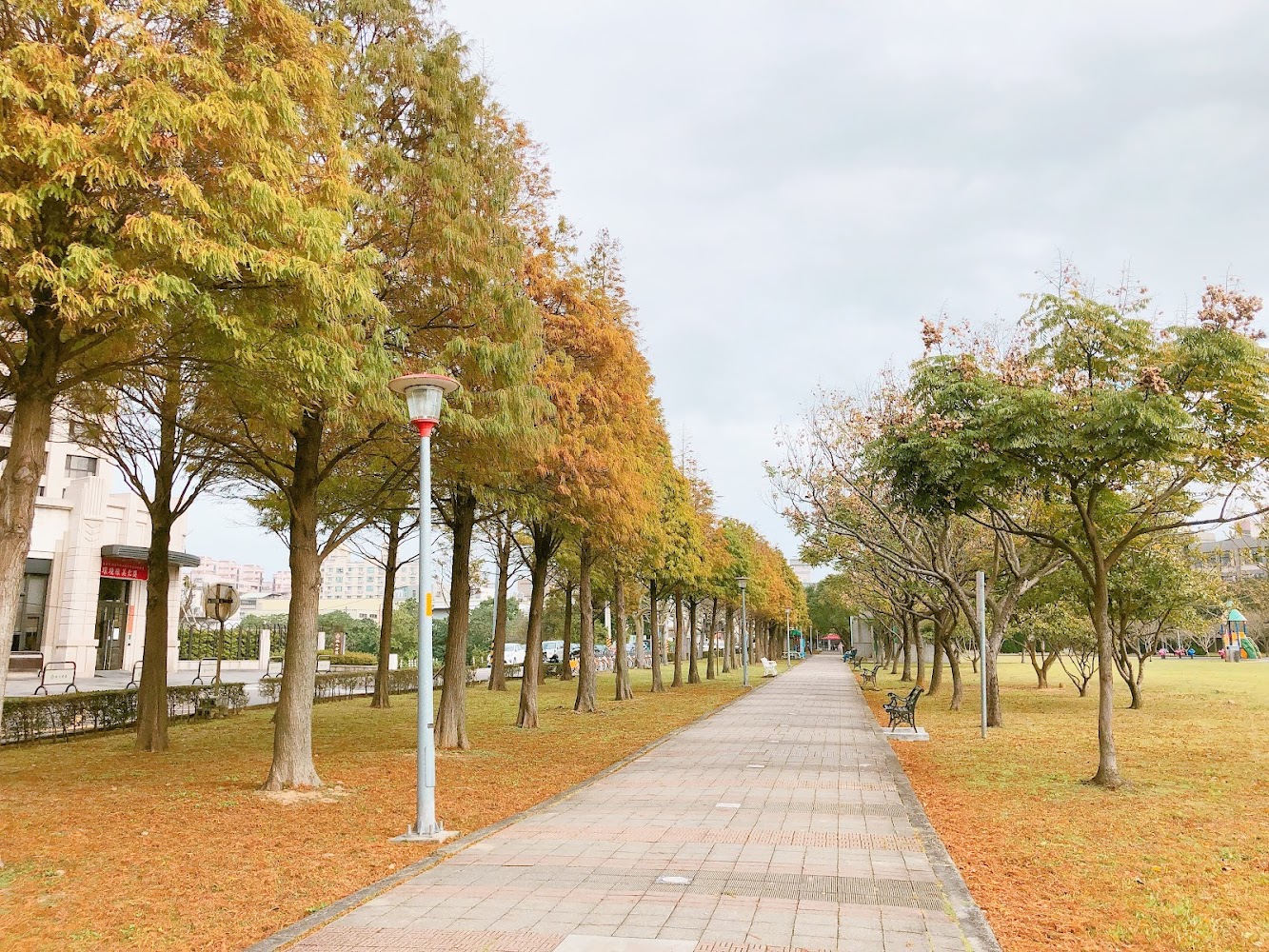 這張圖片展示一條公園裡的林蔭大道，兩旁種滿了樹木，樹葉泛黃，地上鋪滿落葉，步道旁有長椅和路燈，環境非常寧靜舒適。圖片無明顯浮水印。