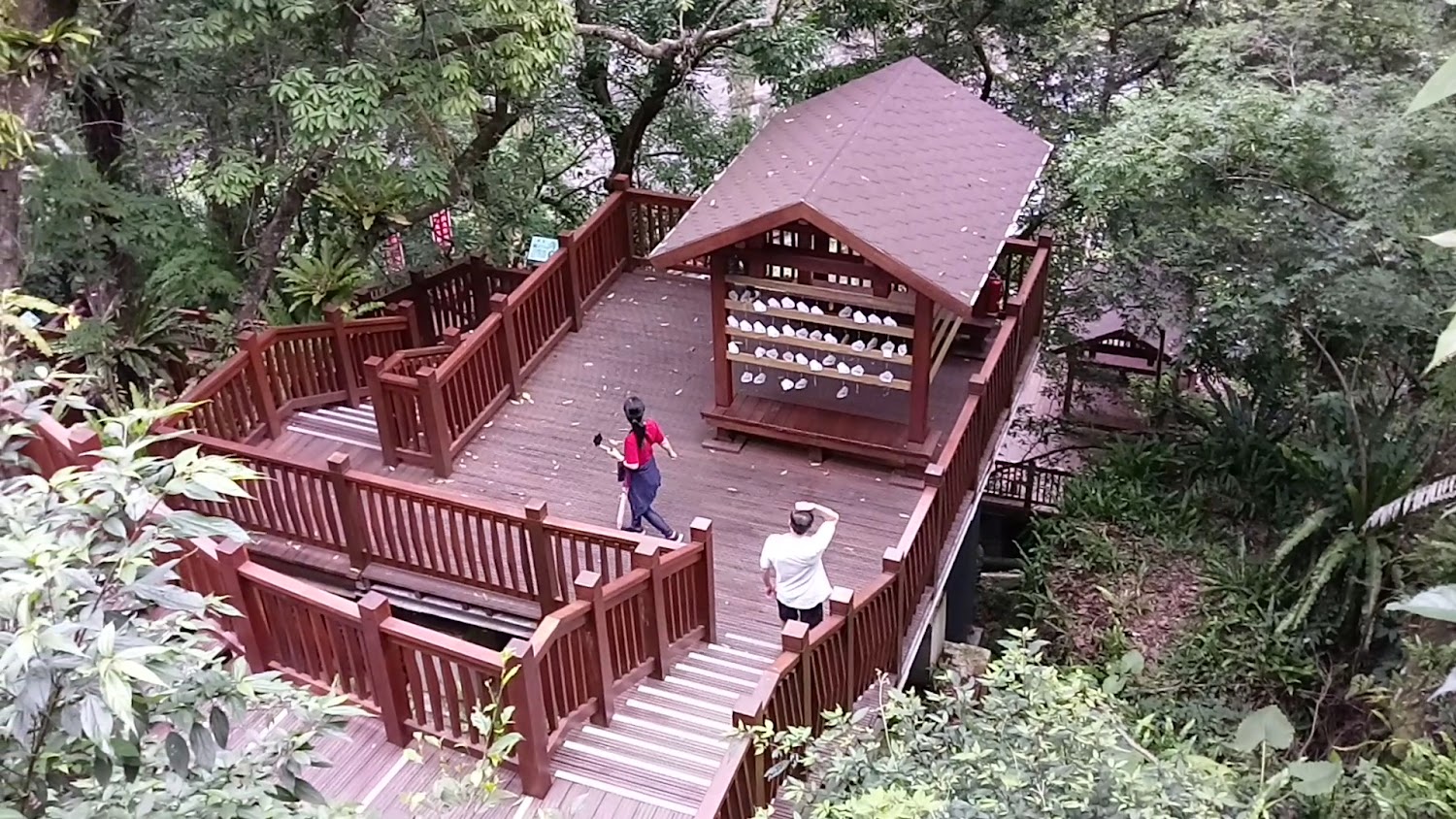 森林中的大型木造觀景平台