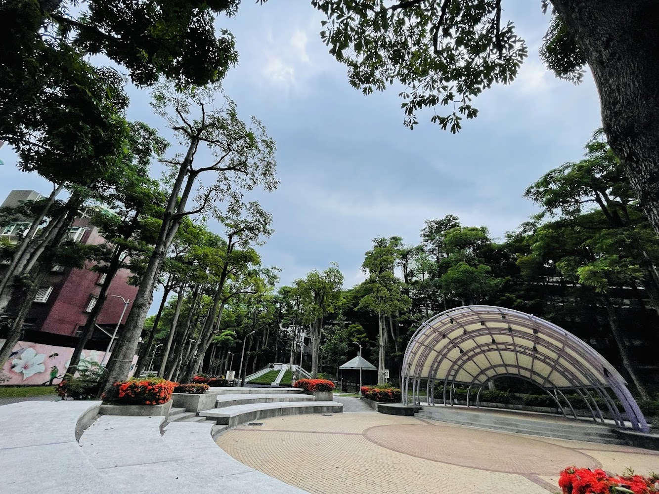 紫陽公園戶外廣場與高大樹木景觀