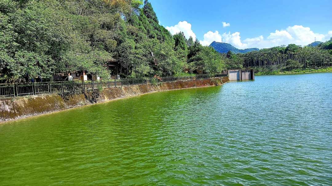 翠綠水庫湖景與欄杆步道