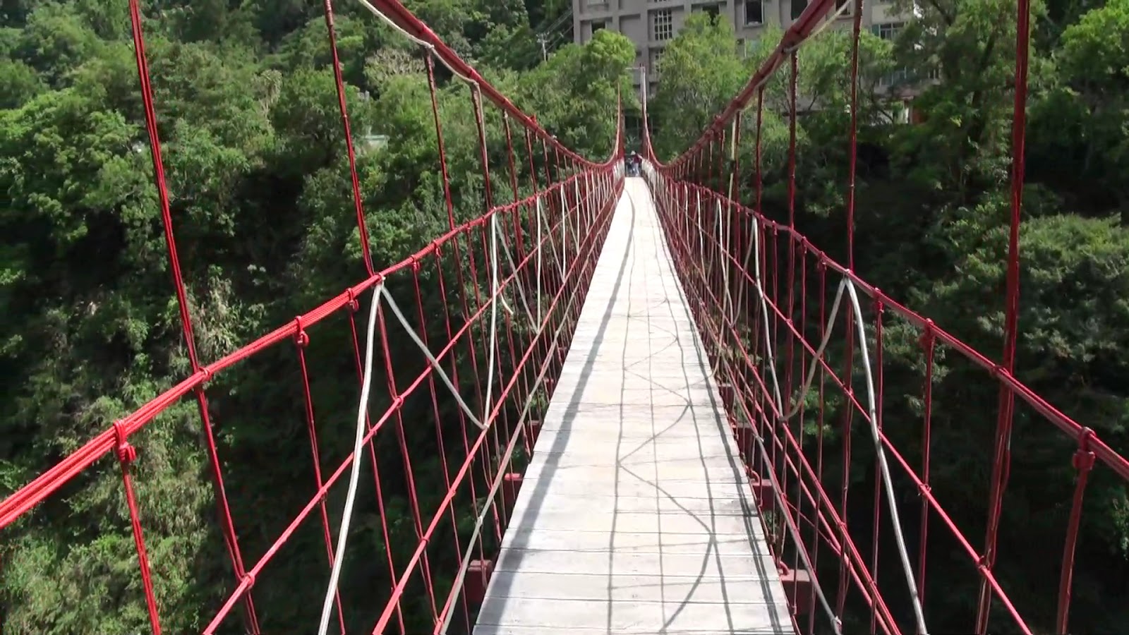 天龍吊橋紅色鐵索橋面延伸進翠綠山林，台東海端鄉南橫公路秘境