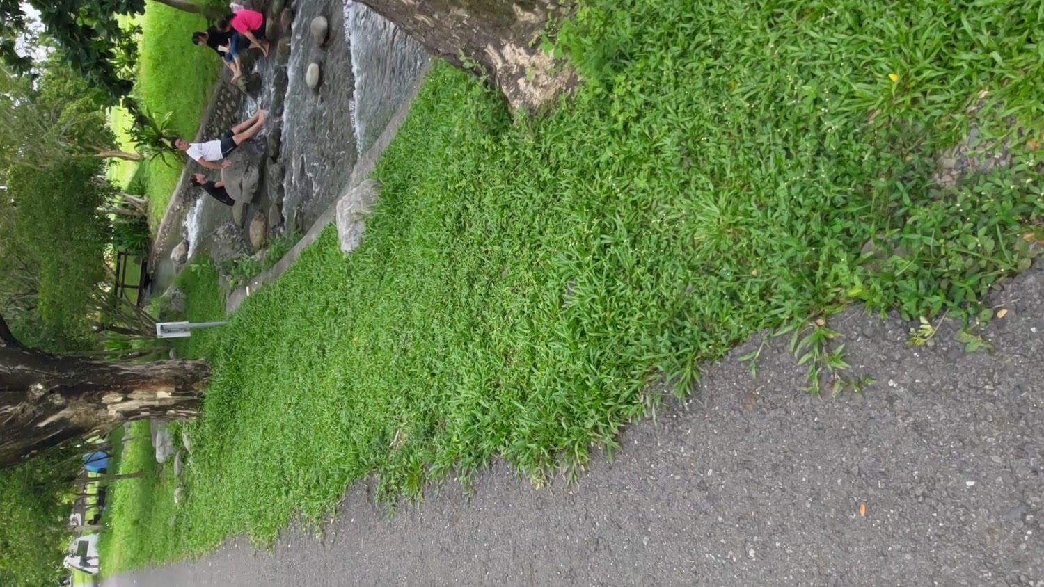 林後四林平地森林園區溪流戲水區