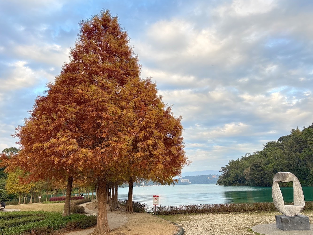 秋色落羽松湖泊遠山與雕塑
