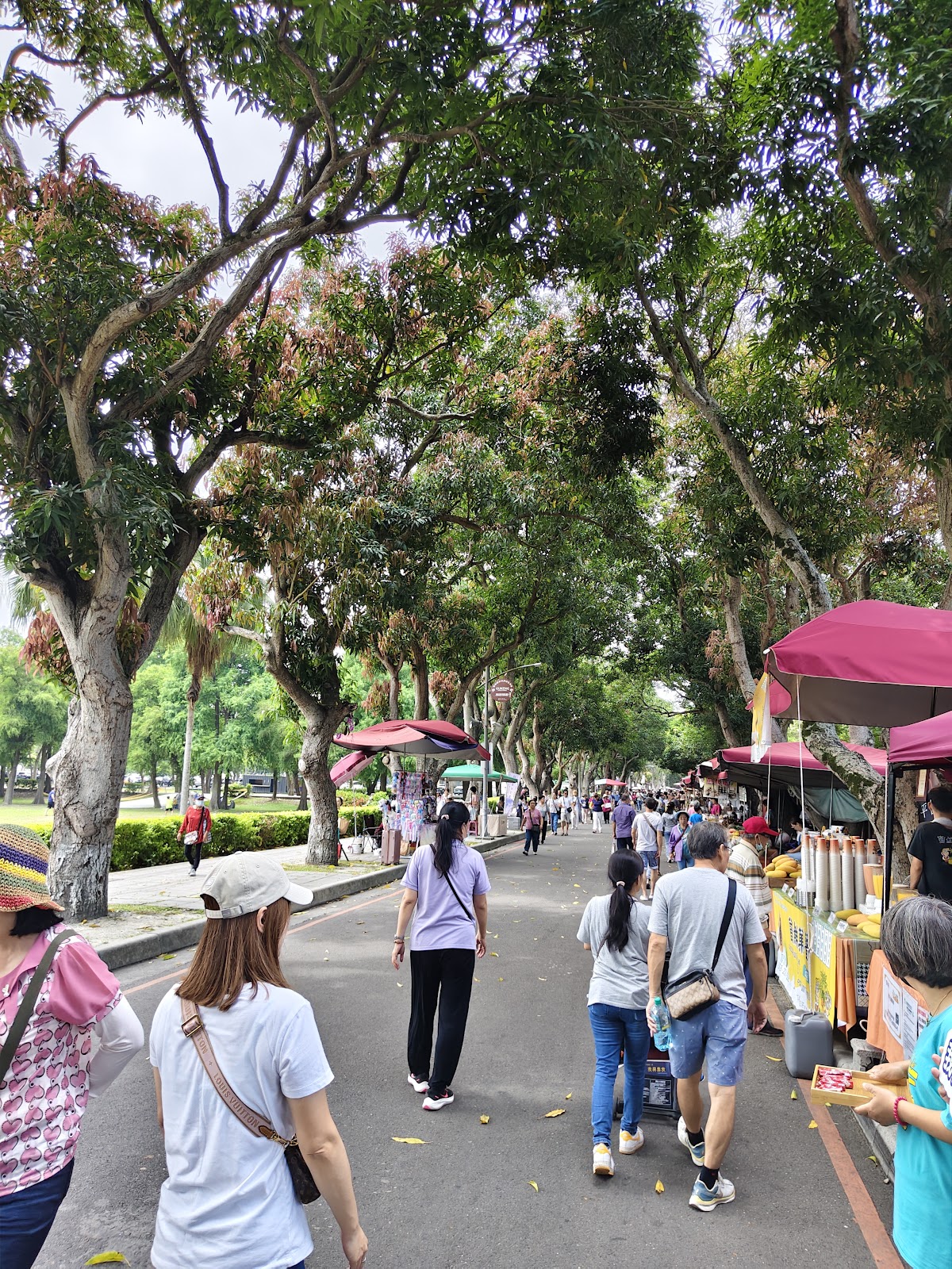 古坑綠色隧道公園林蔭步道景色