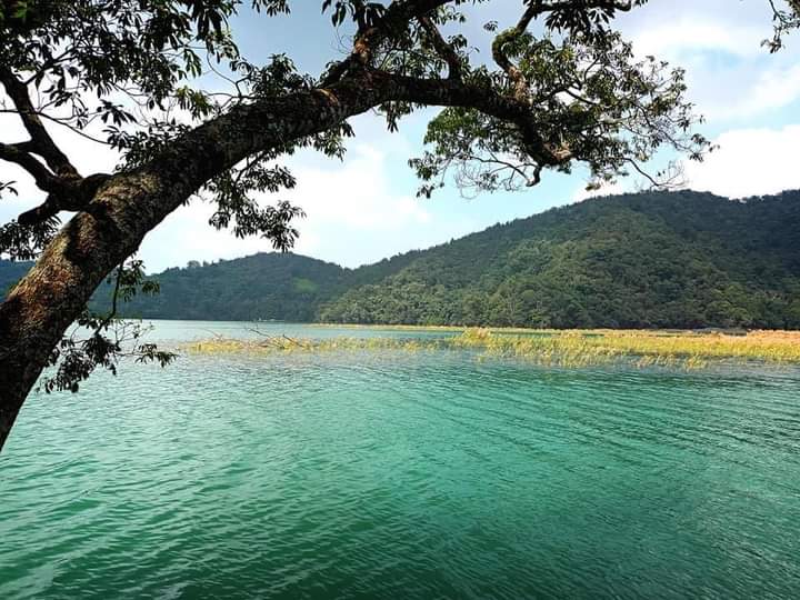 碧綠湖水與湖邊樹木遠方山丘藍天