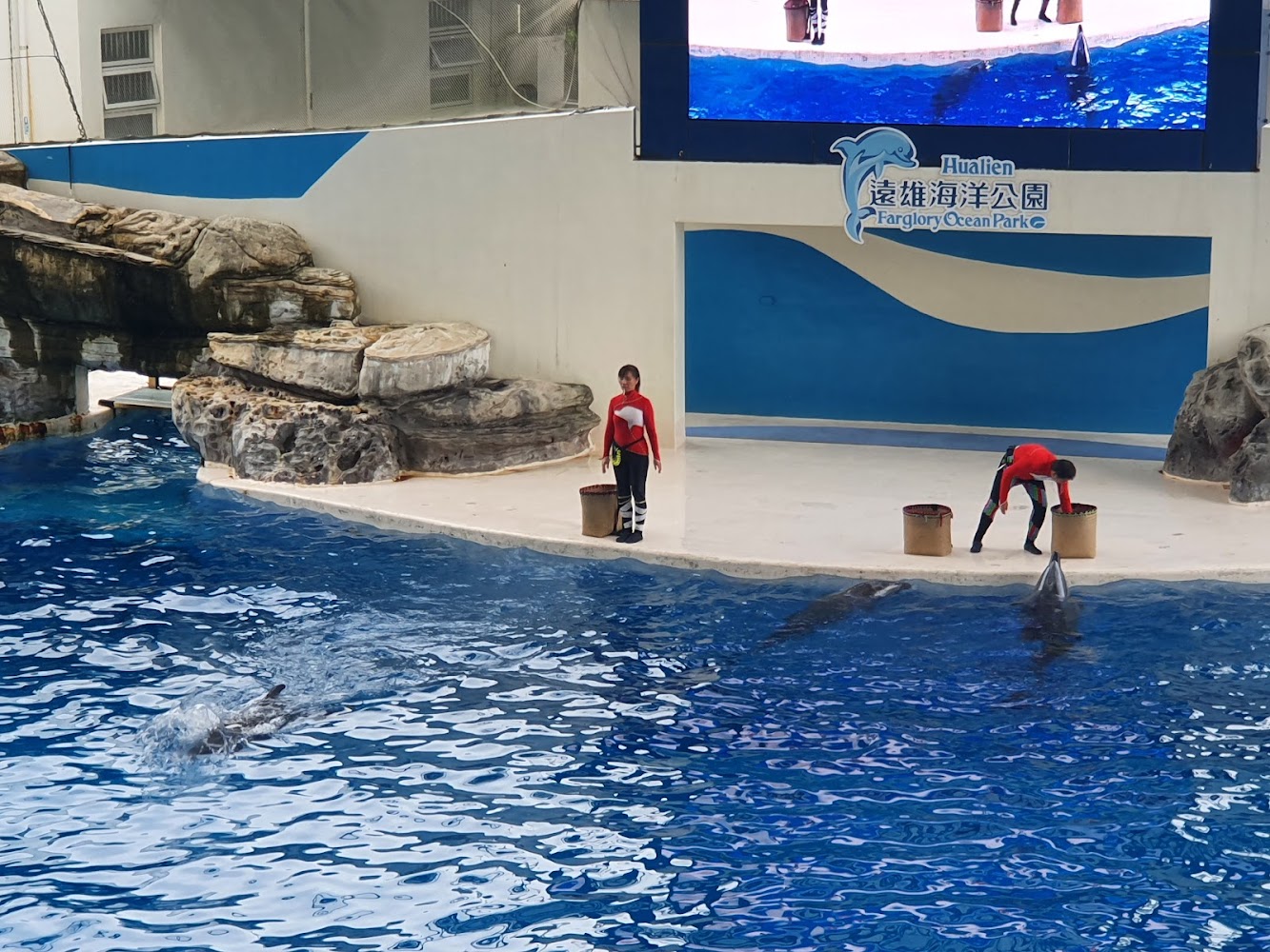 遠雄海洋公園海豚表演場