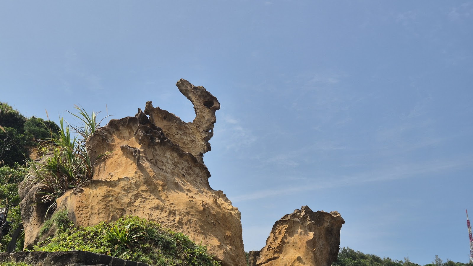 野柳象形岩造型奇岩地質公園新北旅遊景點