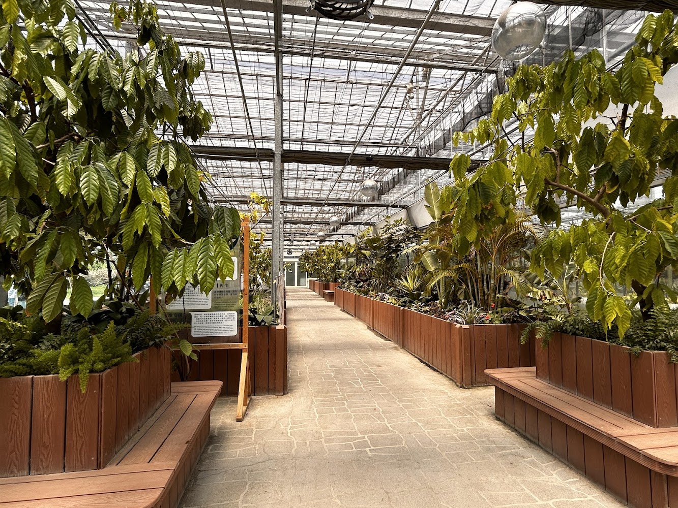 土庫驛可可莊園溫室內熱帶植物與休息長椅