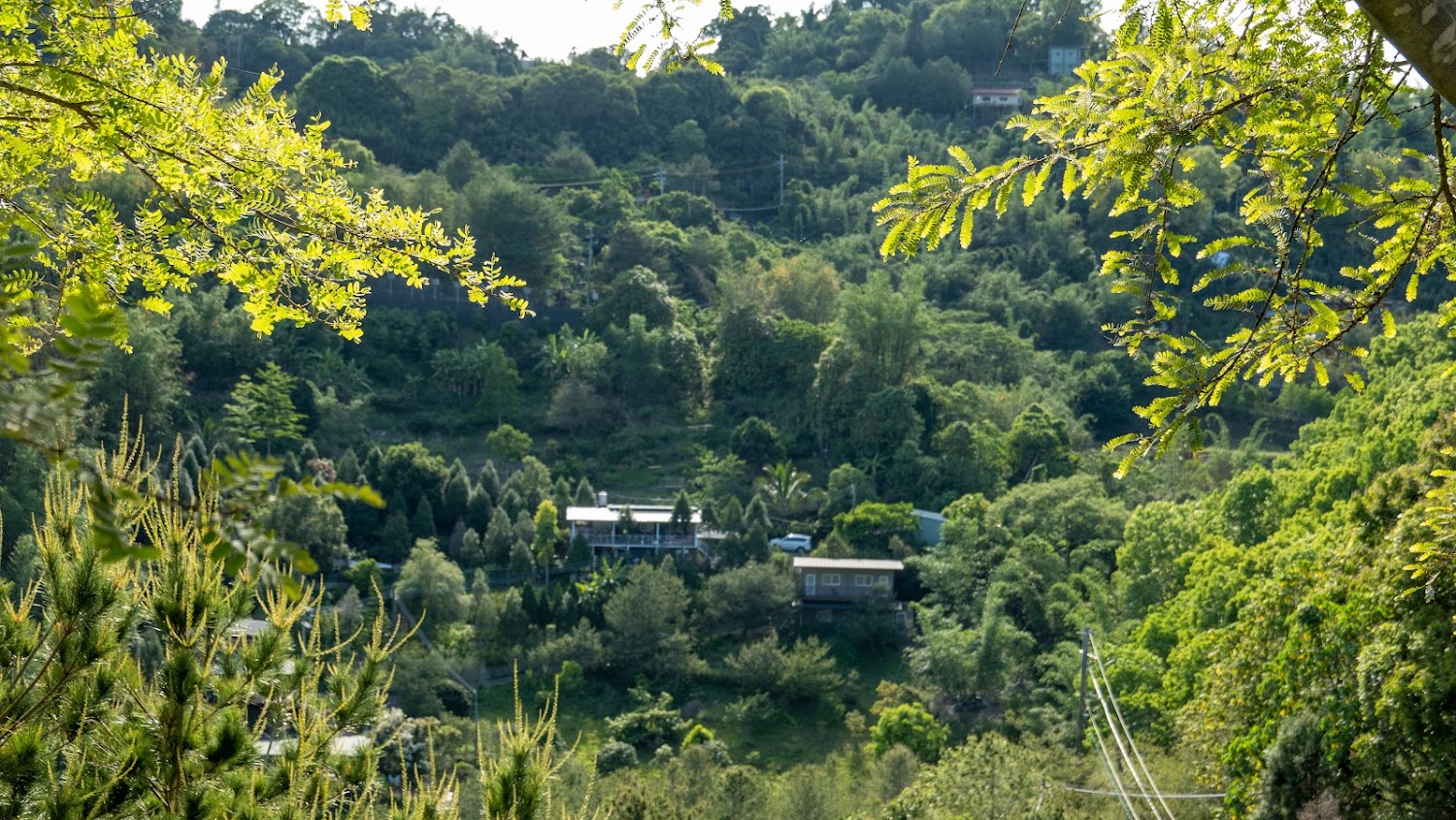翠綠山林與山腰房屋
