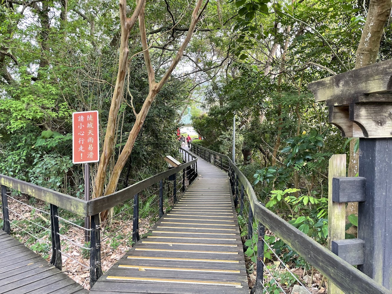 芝山岩林間步道木棧道