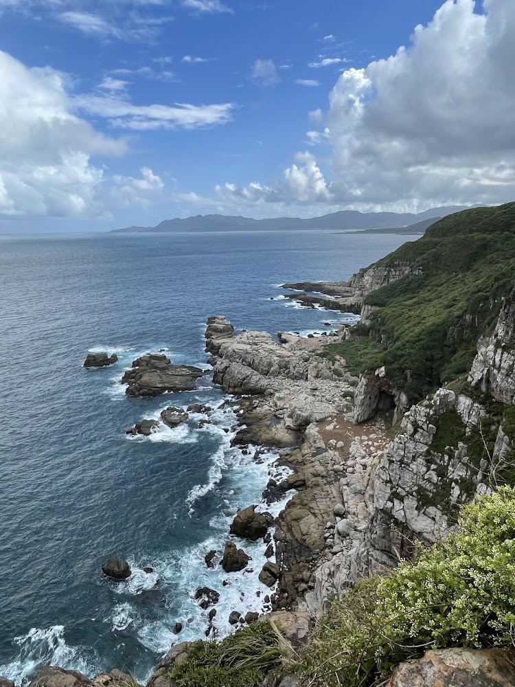 壯闊海岸線與覆滿綠意的龍洞灣岬步道海崖景色