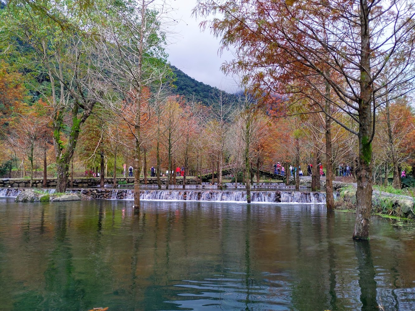三層坪木棧道旁的秋色池塘景觀