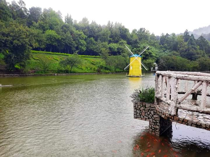 湖中有一座黃色風車，右前方有木製觀景台，背景為樹林
