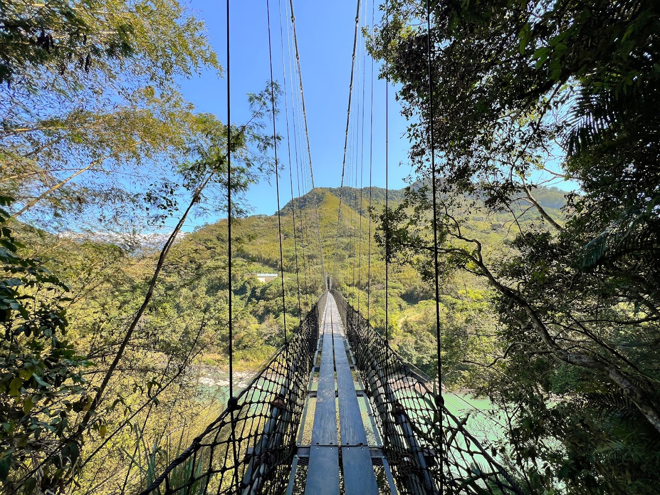 羅浮附近義興吊橋山林景色
