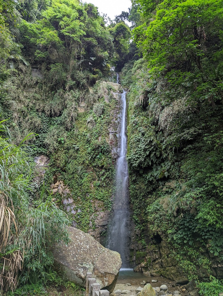 南投龍鳳瀑布鳳瀑布全景,瀑布從高聳峭壁傾瀉而下,兩側植被茂密