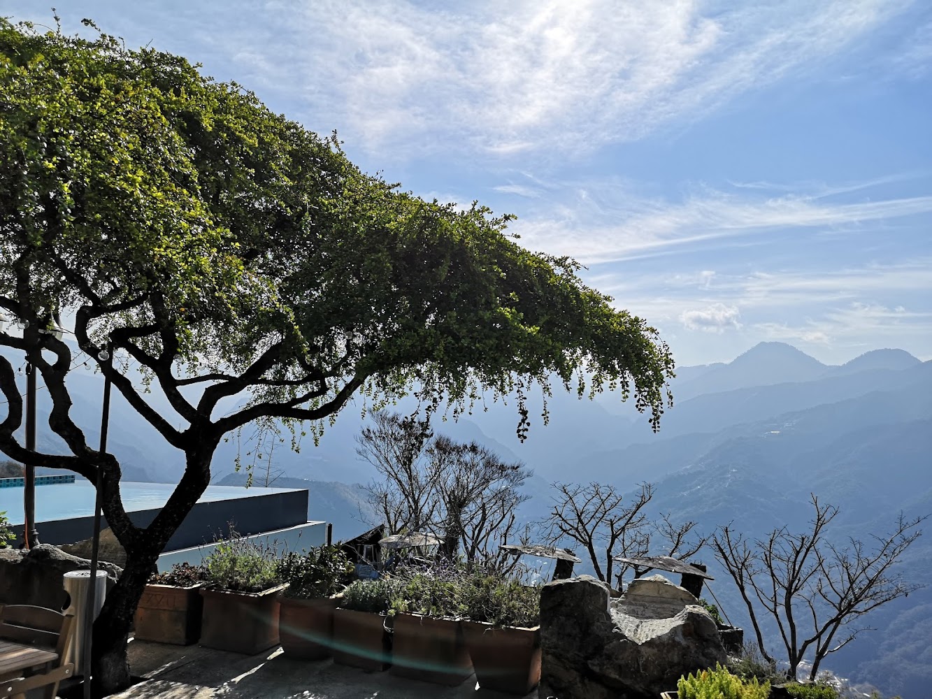 造型優美的大樹，遠方則是層層山巒及藍天