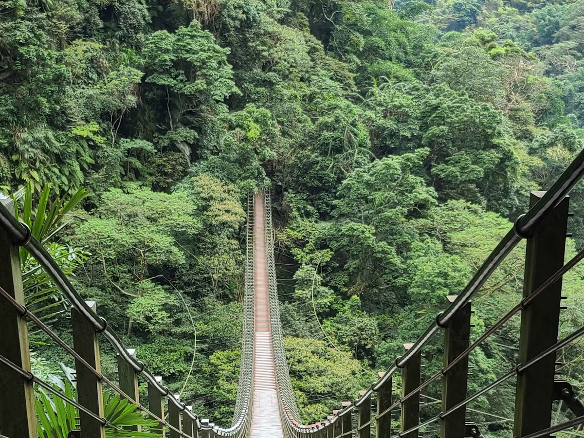 立川漁場吊橋 穿越林蔭 花蓮壽豐景點