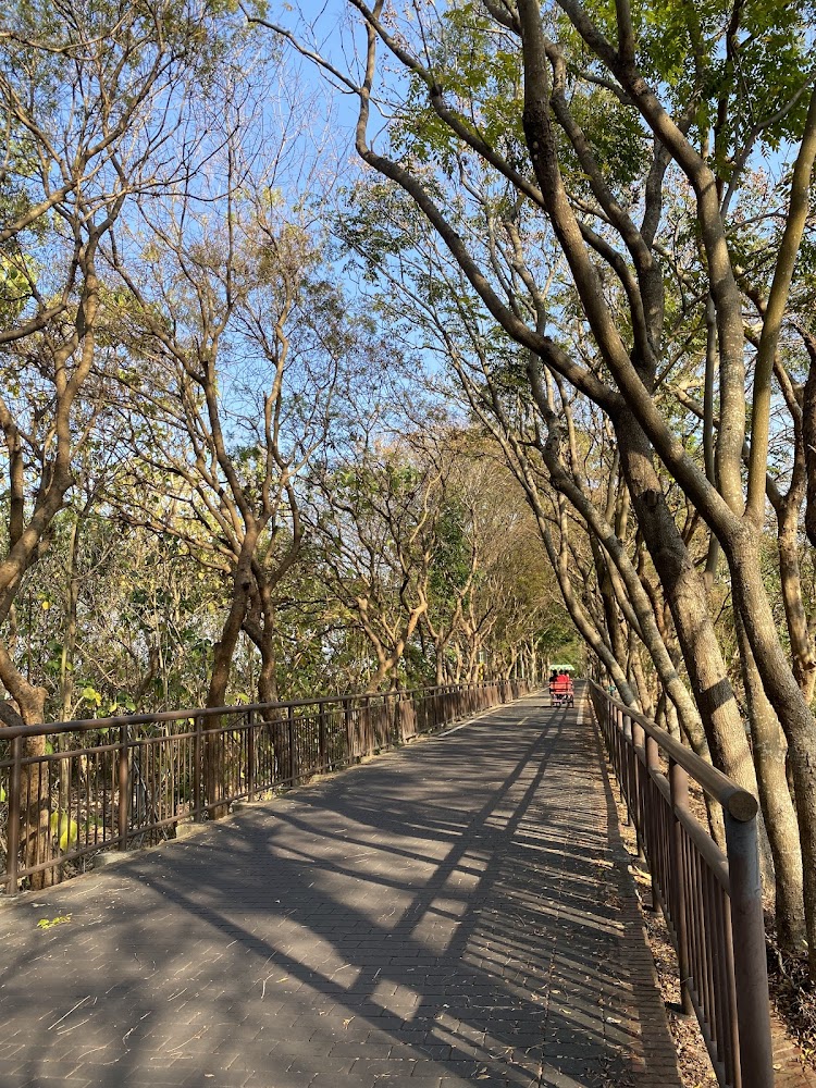 東豐自行車綠廊林蔭步道