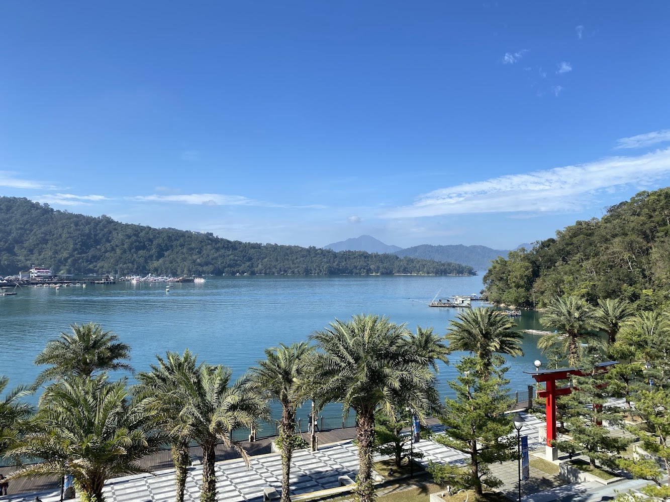日月潭湖畔棕櫚樹與鳥居景觀
