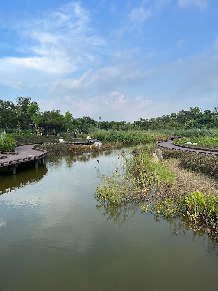 觀音湖木棧步道與湖畔植被